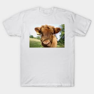 Baby Cow T-Shirt